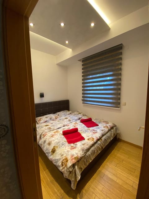 Apartman Borce Apartment in Zlatibor