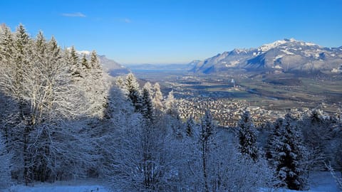 Day, Natural landscape, Winter, Mountain view