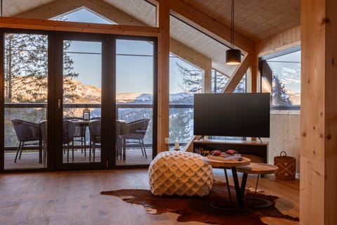 TV and multimedia, Mountain view