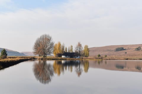 Lake view