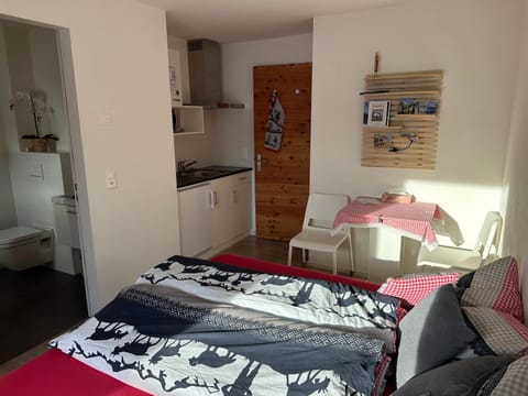 Kleines aber feines Studio Apartment in Canton of Grisons