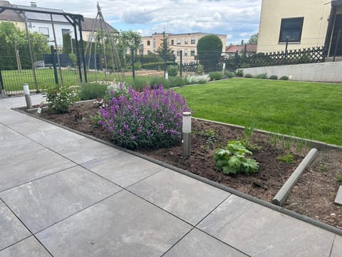 Day, Natural landscape, Garden view