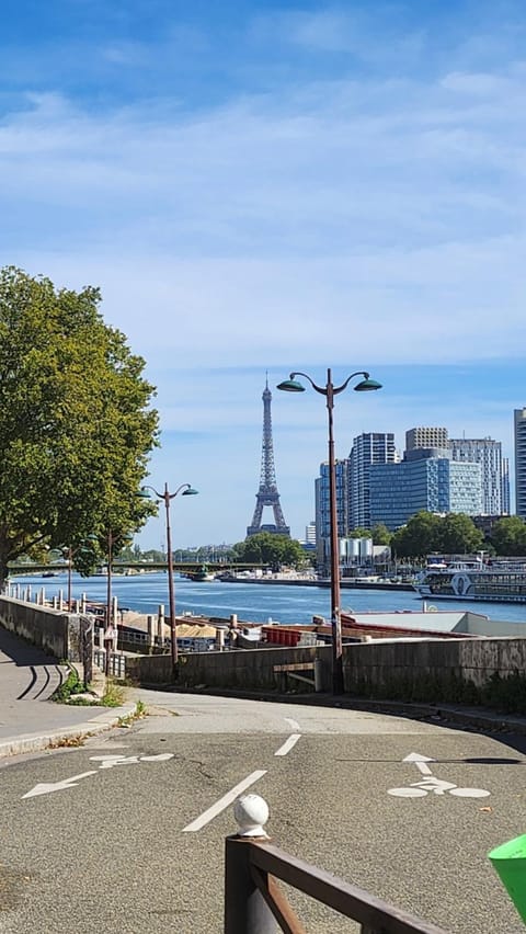 Le Bord de Seine - Paris Apartment in Paris