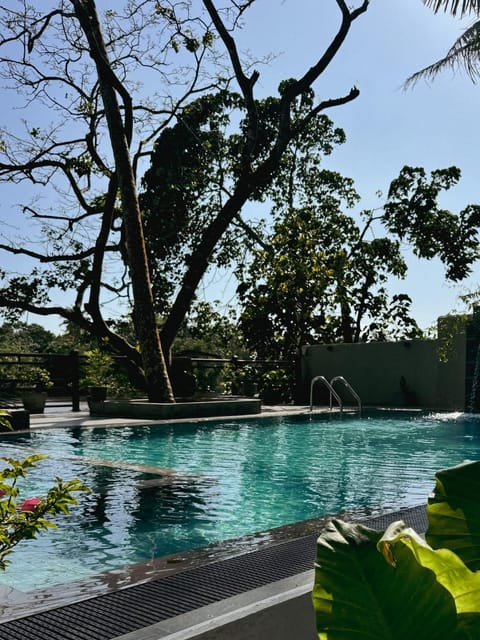 Garden view, Pool view, Swimming pool, Swimming pool