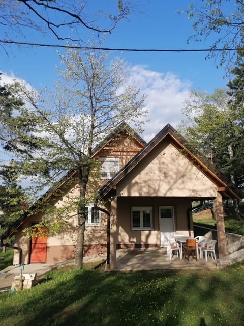 Patio, Spring, Day, Garden, Garden view