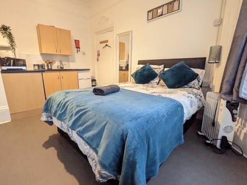 1 Bedroom Studio in a Supurb Area of Cardiff Apartment in Cardiff