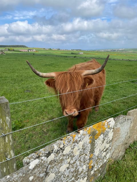 Glengolly Getaways Apartment in Scotland