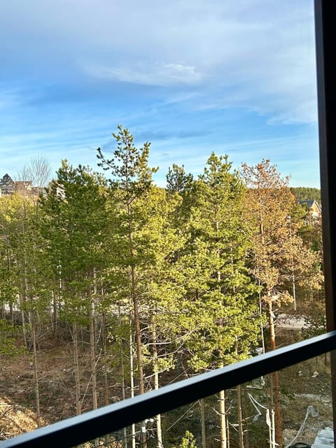 Apartman Krov Divcibare Apartment in Zlatibor District, Serbia