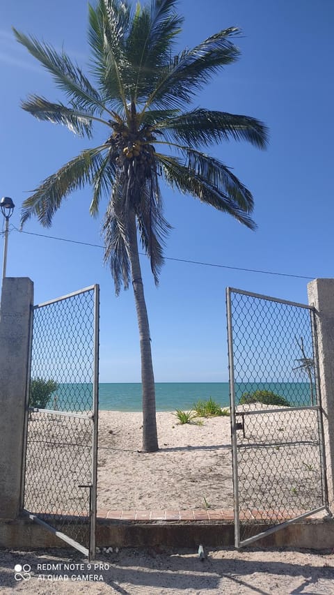 Beach, Sea view