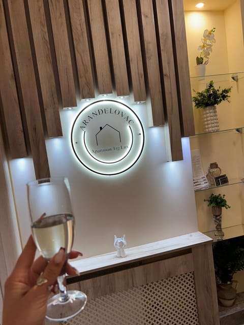 Apartman Trg Lux Apartment in Serbia