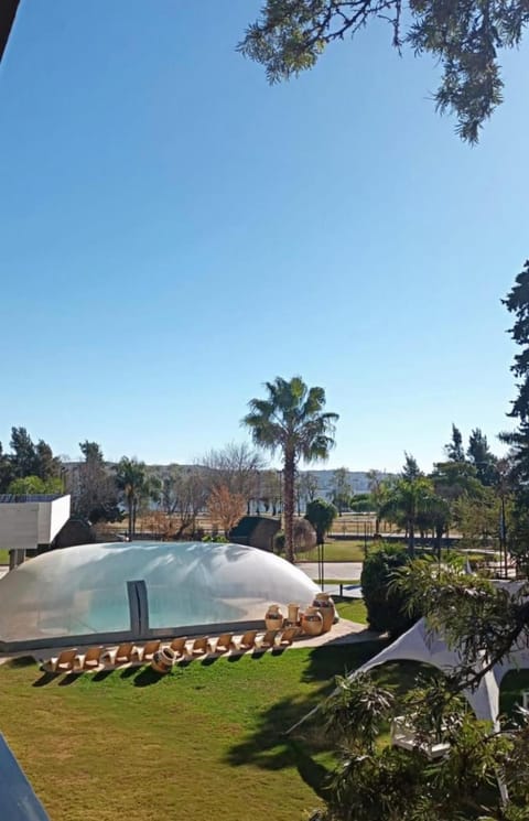 Natural landscape, Garden, Garden view, Pool view