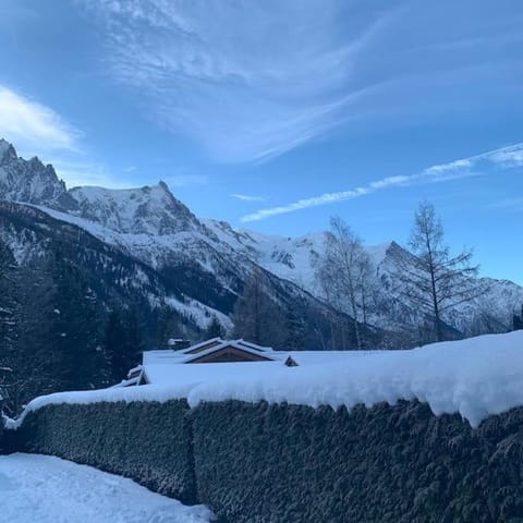 Belle Vue Des Praz Apartment in Chamonix