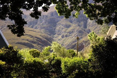 The Earthy Inn House in Western Cape