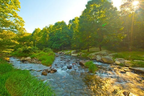 Reel Relaxing at Eagles Nest House in Watauga