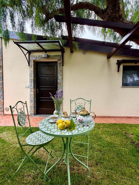 Patio, Garden