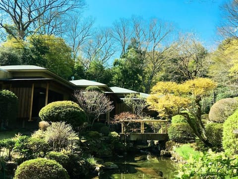 Day, Garden, Garden view