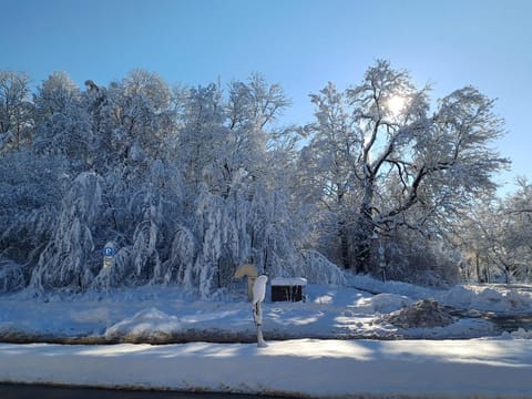 Casa Hintze II- 2 Zimmerwohnung 5 Minuten zu Fuß in die Innenstadt und nahe der Berge Apartment in Kempten