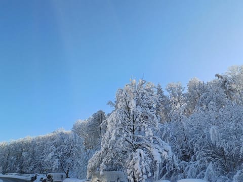 Casa Hintze II- 2 Zimmerwohnung 5 Minuten zu Fuß in die Innenstadt und nahe der Berge Apartment in Kempten