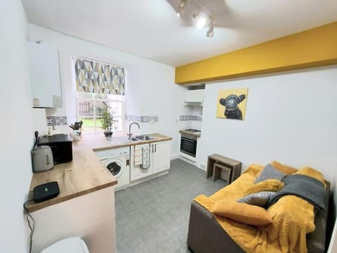 Kitchen or kitchenette, Seating area, minibar, stove, toaster
