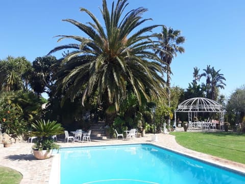 Day, Garden, Garden view, Pool view, Swimming pool, sunbed