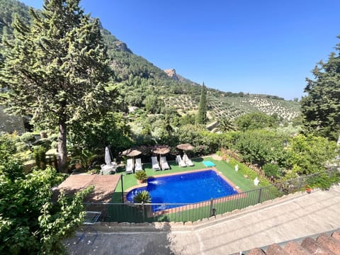 Property view