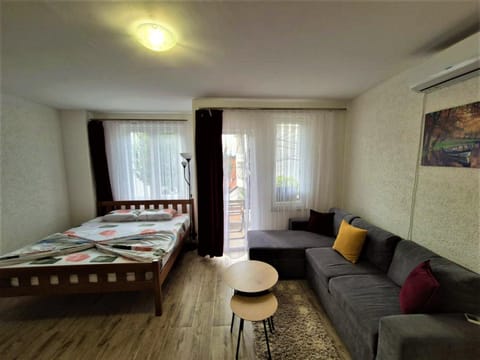 Bed, Living room, Photo of the whole room, Seating area