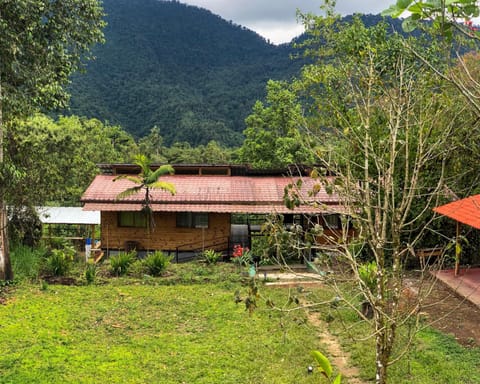Property building, Day, Natural landscape
