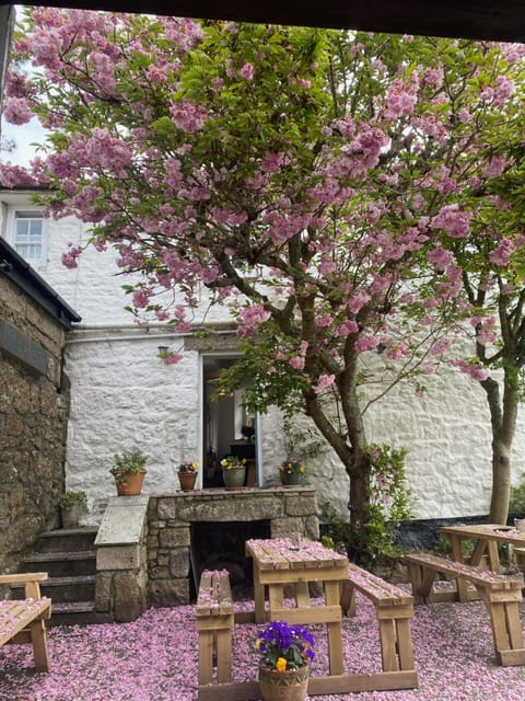 The White House at The Tinners Arms Inn in Zennor