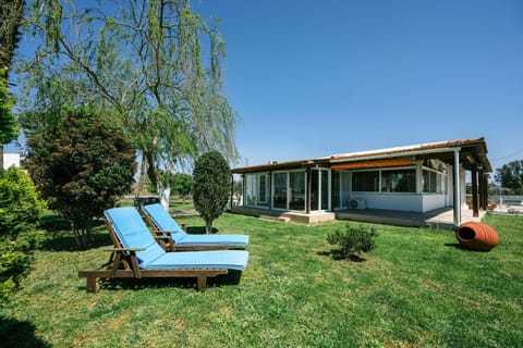 Property building, Garden, Garden view, sunbed