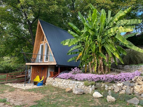 Property building, Garden view