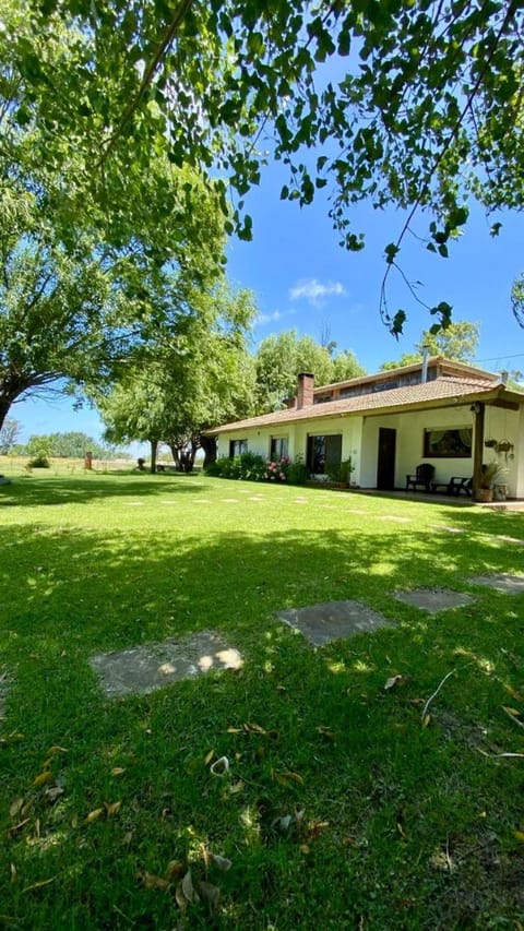 Natural landscape, Garden, Garden view