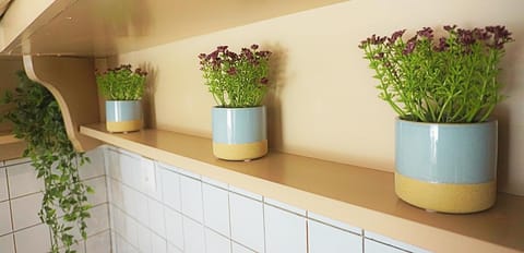 maison jamouri Apartment in Corfu, Greece