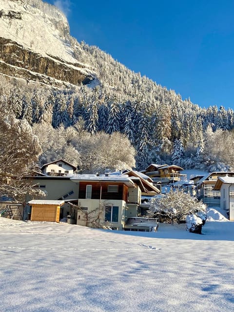 s'pölven NEST Apartment in Salzburgerland
