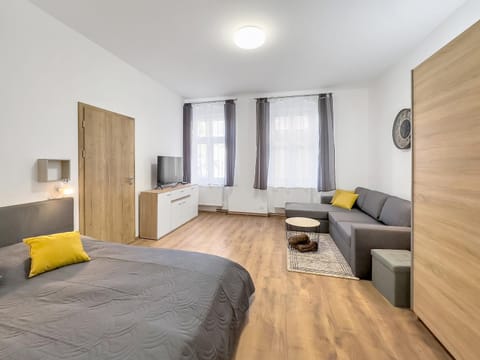 Bed, TV and multimedia, Living room, Photo of the whole room, Seating area, Bedroom, wardrobe