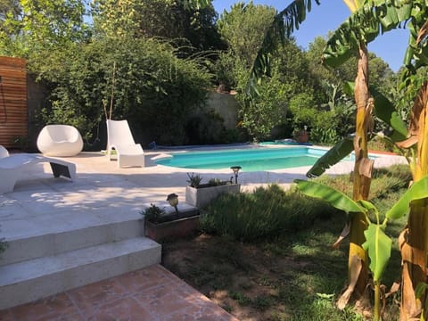 Pool view, Swimming pool