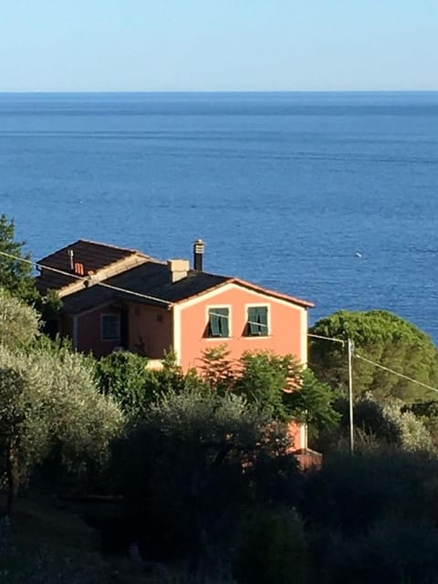 Sea view