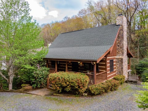 The Nut House House in Seven Devils