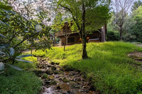 The Nut House House in Seven Devils