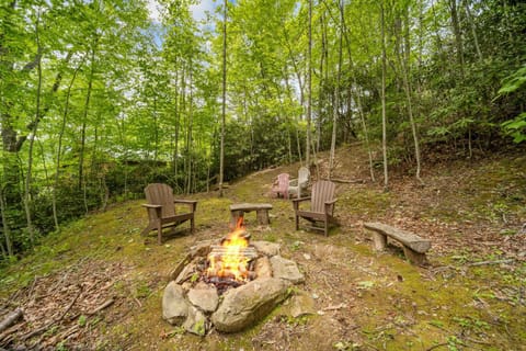 Appalachian Satisfaction House in Brushy Fork