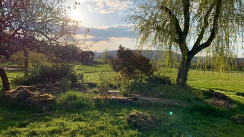 Garden, Garden view