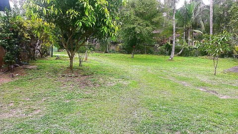 Natural landscape, Garden, Garden view