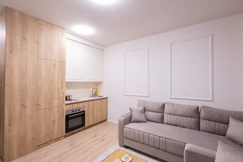 CENTRAL Aparments Apartment in Serbia