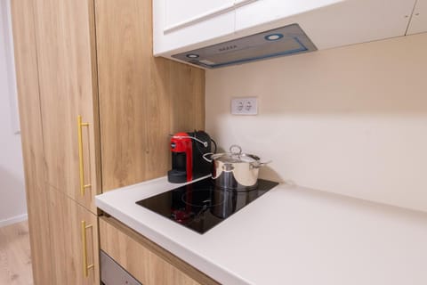 CENTRAL Aparments Apartment in Serbia