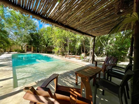 Day, Garden, Garden view, Pool view, Swimming pool, Swimming pool, sunbed