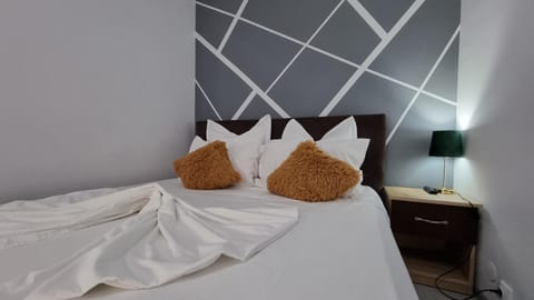 vApartament central Apartment in Serbia