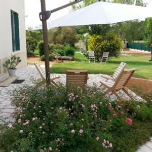 Patio, Garden