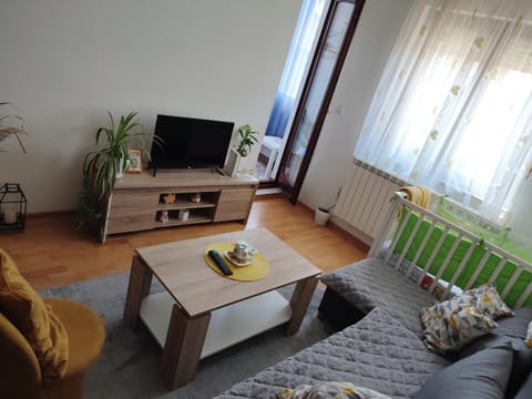 Apartman Tanja Apartment in Vojvodina