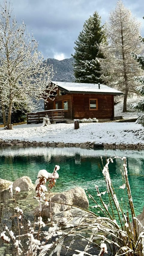 Relax in Baita di montagna! Apartment in Friuli-Venezia Giulia