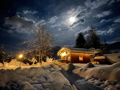 Relax in Baita di montagna! Apartment in Friuli-Venezia Giulia