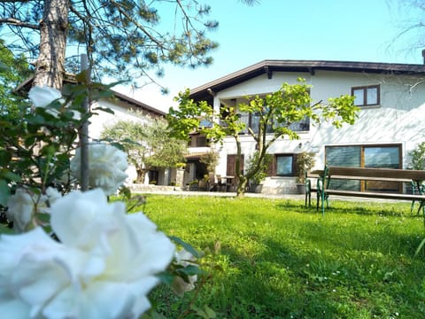 Pri Martinovih Vacation rental in Friuli-Venezia Giulia